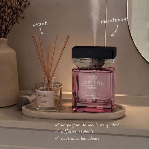 Luxury Scent Mist Diffuser