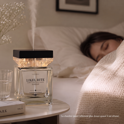 Luxury Scent Mist Diffuser