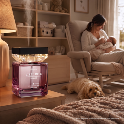 Luxury Scent Mist Diffuser