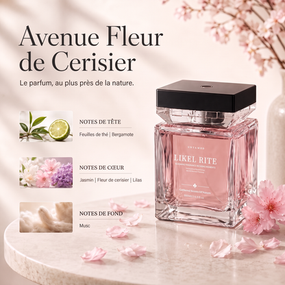 Luxury Scent Mist Diffuser