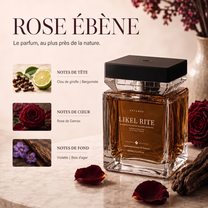 Luxury Scent Mist Diffuser