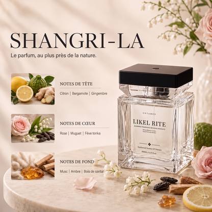 Luxury Scent Mist Diffuser