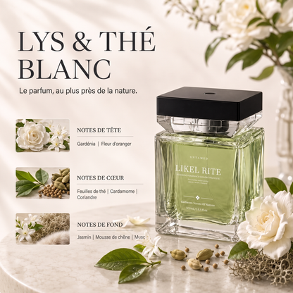 Luxury Scent Mist Diffuser