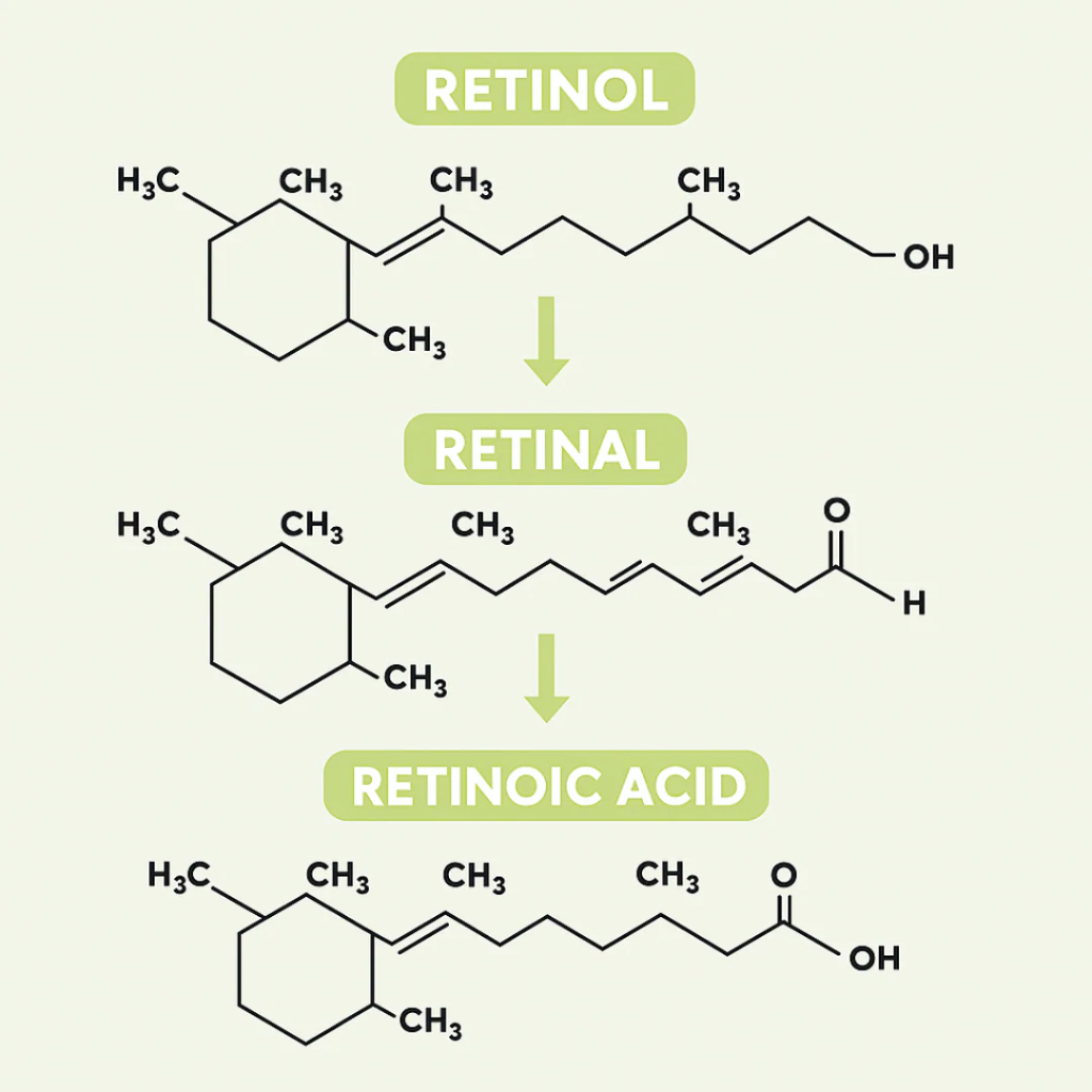 Lyvonelle™ La nouvelle alternative au rétinol