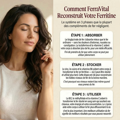 FerraVital - Soutien à la ferritine