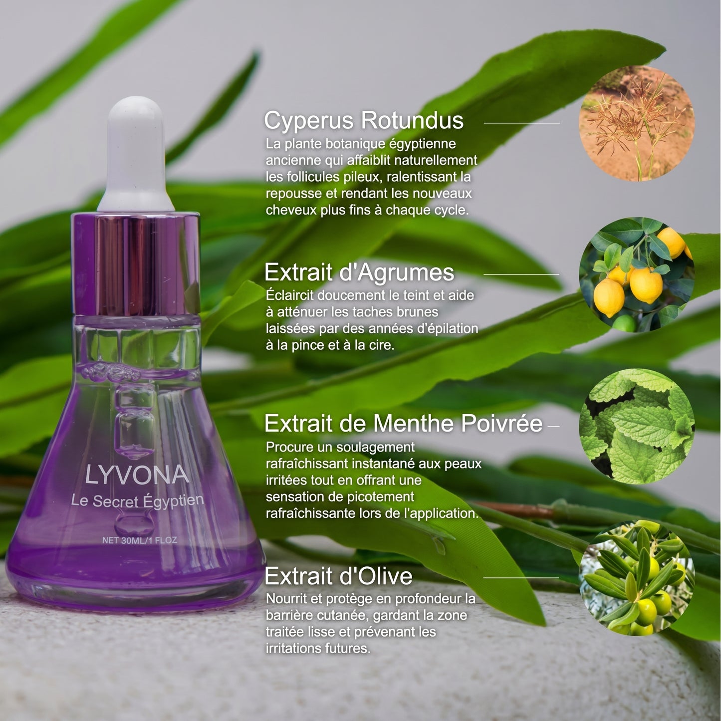 Lyvona™ - Sérum pour la peau au Cyperus Rotundus